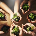 La sostenibilità nella ristorazione